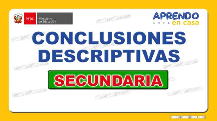 Minedu Ejemplos De Conclusiones Descriptivas Para El Nivel Secundaria