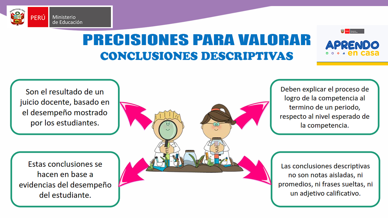 Importante Precisiones Para Valorar Las Conclusiones Descriptivas