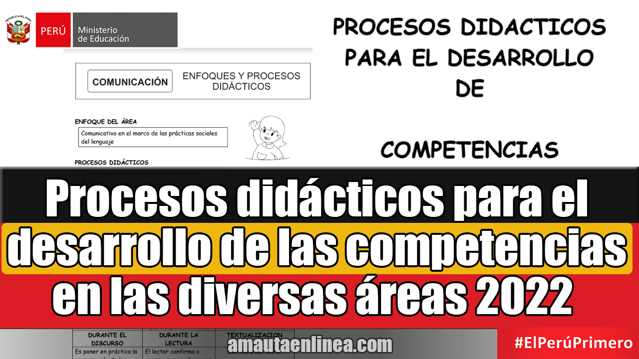 Procesos didácticos para el desarrollo de las competencias en las