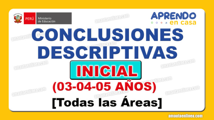 conclusiones descriptivas nivel inicial