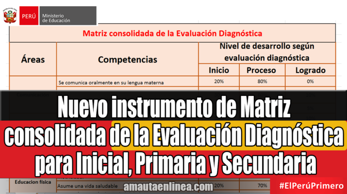 Nuevo instrumento de Matriz consolidada de la Evaluación Diagnóstica para Inicial, Primaria y Secundaria