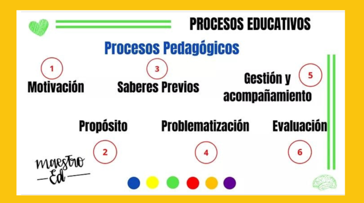 Los procesos Pedagógicos y Didácticos en el área docente