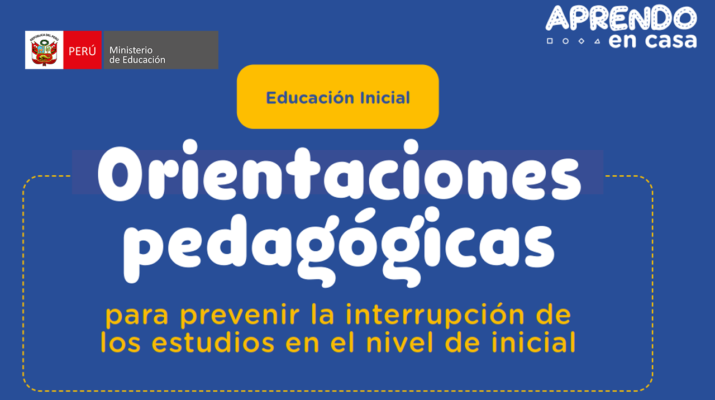 Orientaciones pedagógicas para docentes para prevenir la interrupción de los estudios en el nivel Inicial