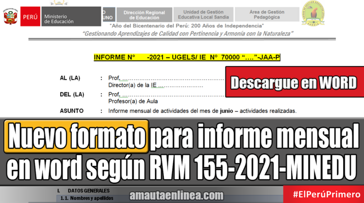 Nuevo formato para informe mensual en word según RVM 155-2021