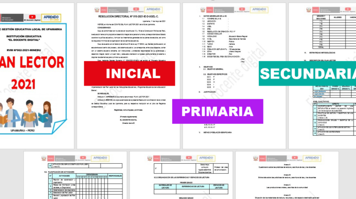 Formatos-desarrollados-en-word-de-Plan-Lector-para-Inicial,-Primaria-y-Secundaria