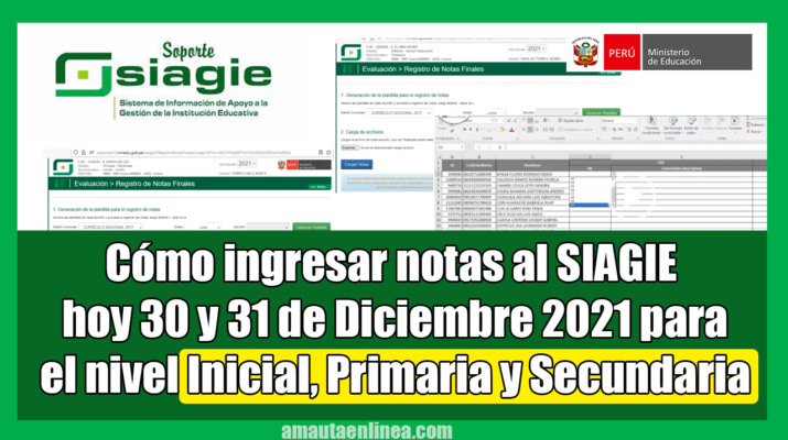 como-ingresar-notas-al-siagie-hoy-30-y-31-de-diciembre-2021-para-el-nivel-inicial-primaria-y-secundaria