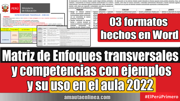 03-formatos-completos-de-Matriz-de-Enfoques-transversales-y-competencias-con-ejemplos-y-su-uso-en-el-aula-2022