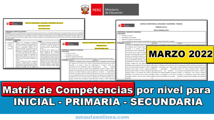 Minedu: Matriz De Competencias Detallado Para Inicial Primaria Y ...