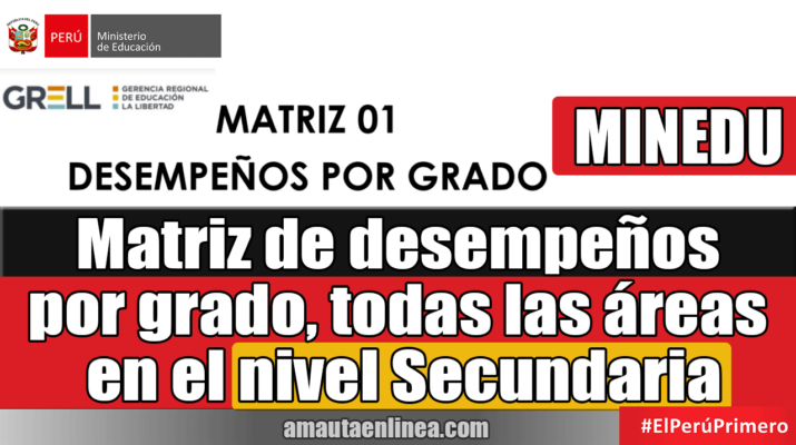 Matriz-de-desempeños-por-grado-nivel-Secundaria