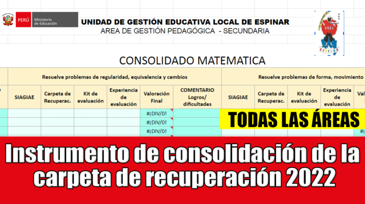 Instrumento-de-consolidación-de-la-carpeta-de-recuperación-2022