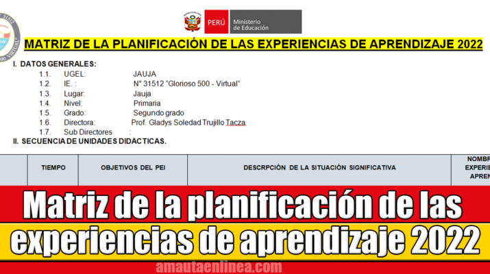 Matriz-de-la-planificación-de-las-experiencias-de-aprendizaje-2022