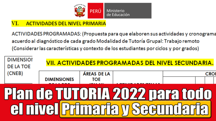 Plan-de-TUTORIA-2022-para-todo-el-nivel-Primaria-y-Secundaria