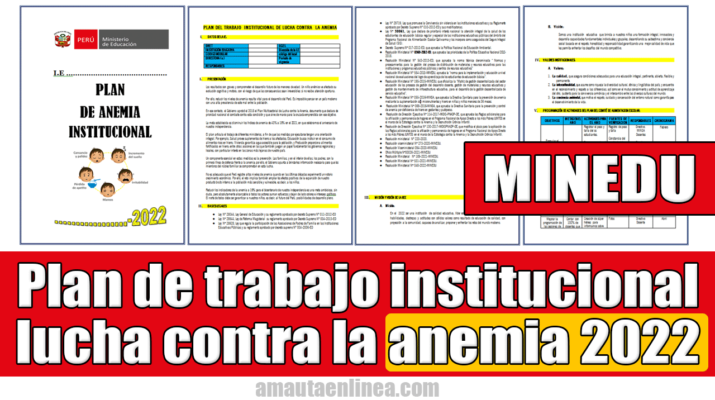 Plan-de-trabajo-institucional-de-lucha-contra-la-anemia-2022