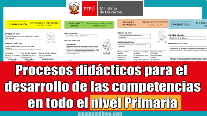 Procesos-didácticos-para-el-desarrollo-de-las-competencias-en-todo-el-nivel-Primaria