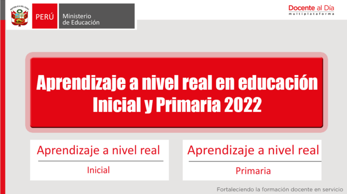 APRENDIZAJE-REAL-EN-INICIAL-Y-PRIMARIA-2022