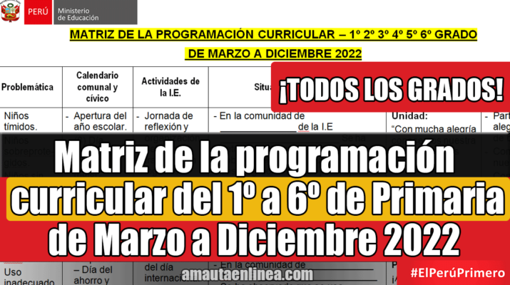 Matriz-de-la-programación-curricular-del-1º-a-6º-de-Primaria-de-Marzo-a-Diciembre-2022-¡TODOS-LOS-GRADOS!