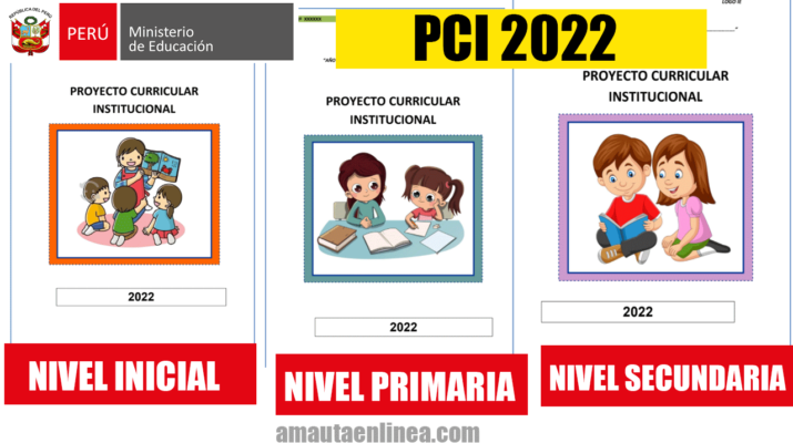 Minedu Pci Actualizados Para El Nivel Inicial Primaria Y Secundaria 2022 7871