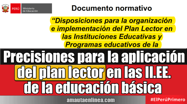 Precisiones-para-la-aplicación-del-plan-lector-en-las-instituciones-educativas-de-la-educación-básica