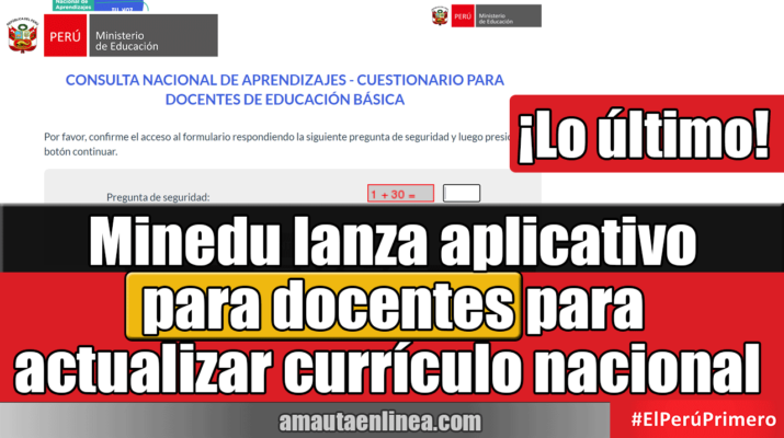 Minedu-lanza-aplicativo-para-docentes-para-actualizar-currículo-nacional