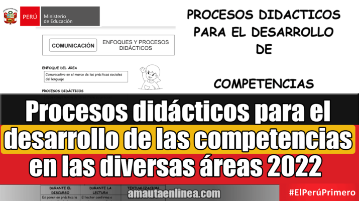 Procesos-didácticos-para-el-desarrollo-de-las-competencias-en-las-diversas-áreas-2022