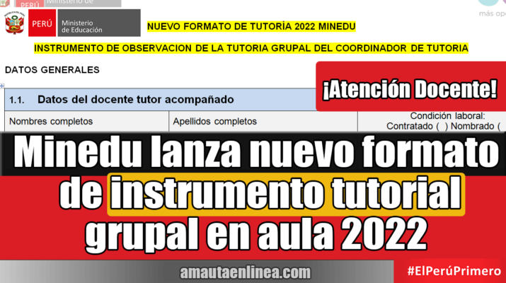 Salió-el-nuevo-formato-de-instrumento-tutorial-grupal-en-aula-2022