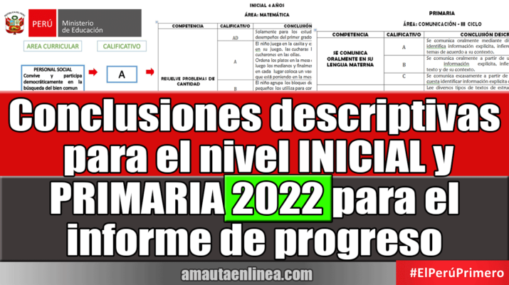 Conclusiones-descriptivas-para-el-nivel-INICIAL-y-PRIMARIA-2022-para-el-informe-de-progreso
