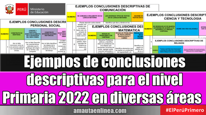 Ejemplos-de-conclusiones-descriptivas-para-el-nivel-Primaria-2022-en-diversas-áreas