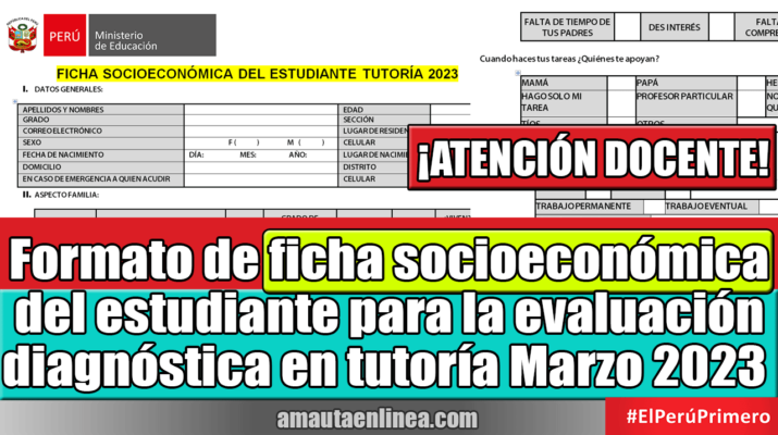 Formato-de-ficha-socioeconómica-del-estudiante-para-la-evaluación-diagnóstica-Marzo-2023