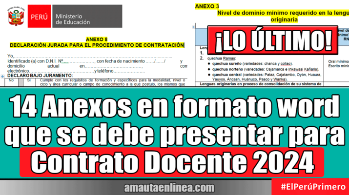 14-Anexos-en-formato-word-que-se-debe-presentar-para-Contrato-Docente-2024