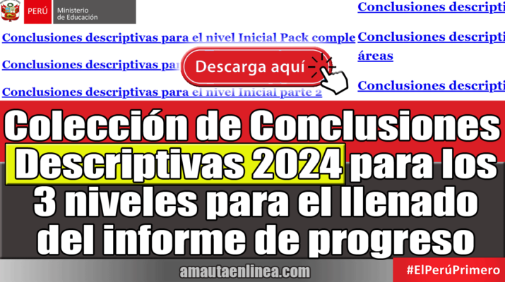 Colección-de-Conclusiones-Descriptivas-2024-para-los-3-niveles-para-el-llenado-del-informe-de-progreso