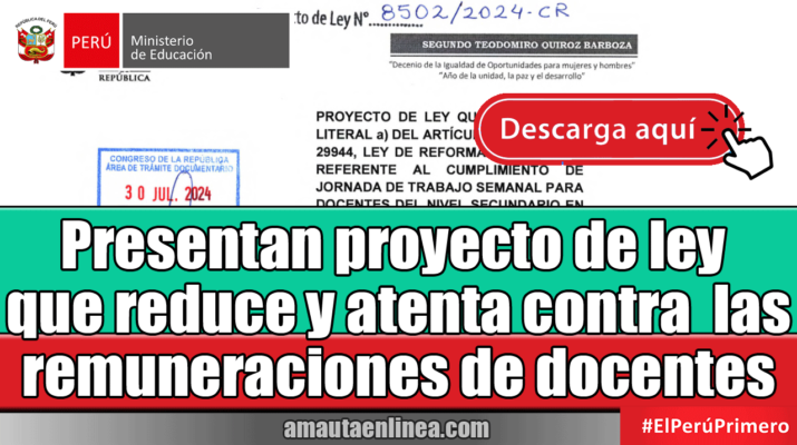 Presentan-proyecto-de-ley-que-reduce-y-atenta-contra-las-remuneraciones-de-docentes