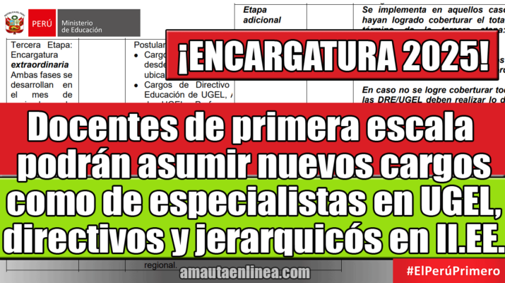 Docentes-de-primera-escala-podrán-asumir-cargos-de-especialistas-en-UGEL-y-directivos-en-IIEE